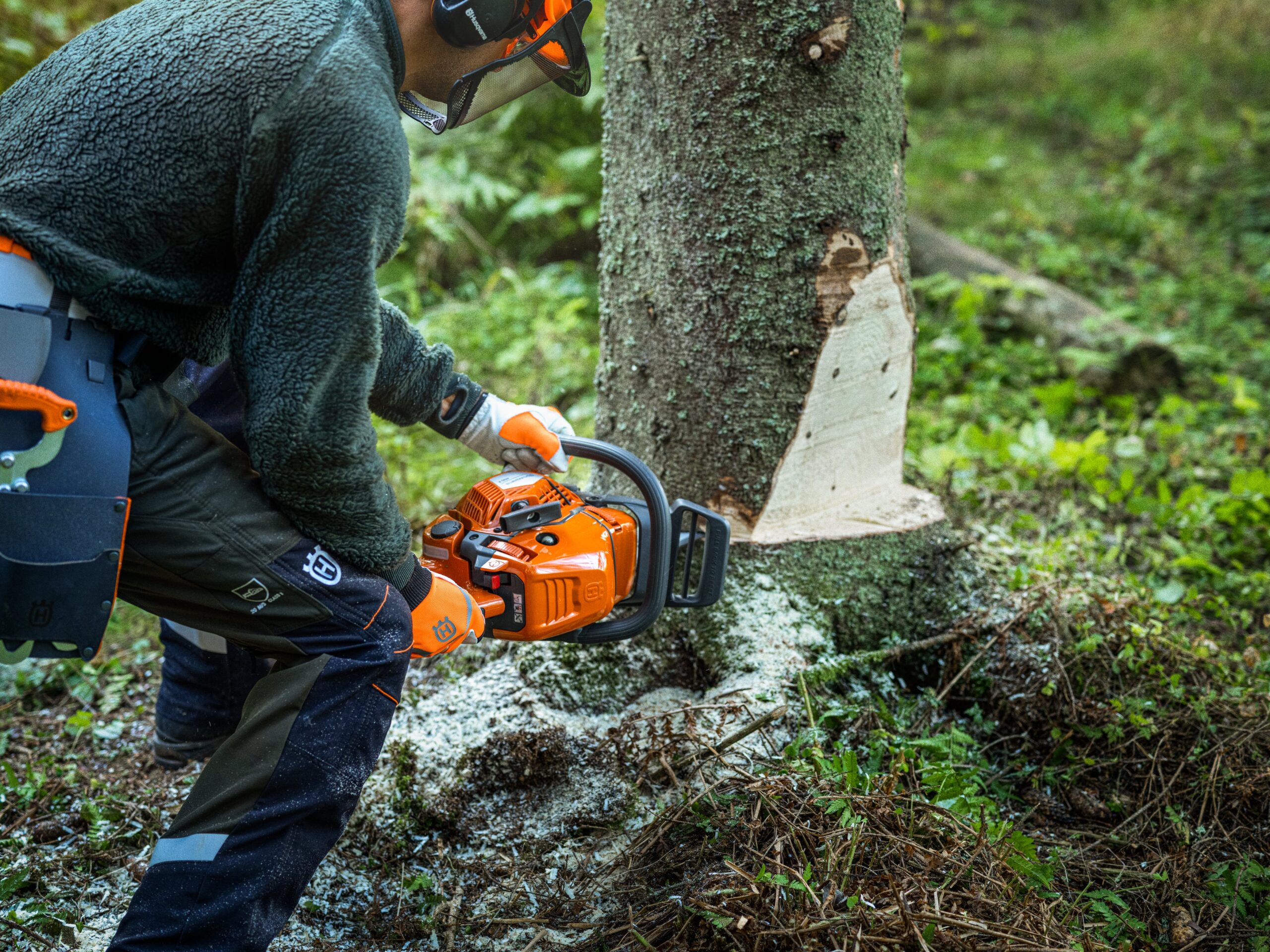 450X langetamine 450X langetamine